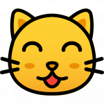 Chat drôle, chat amusant, vidéos de chats sur TikTok